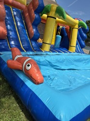 Jumping Jellyfish Wet Combo